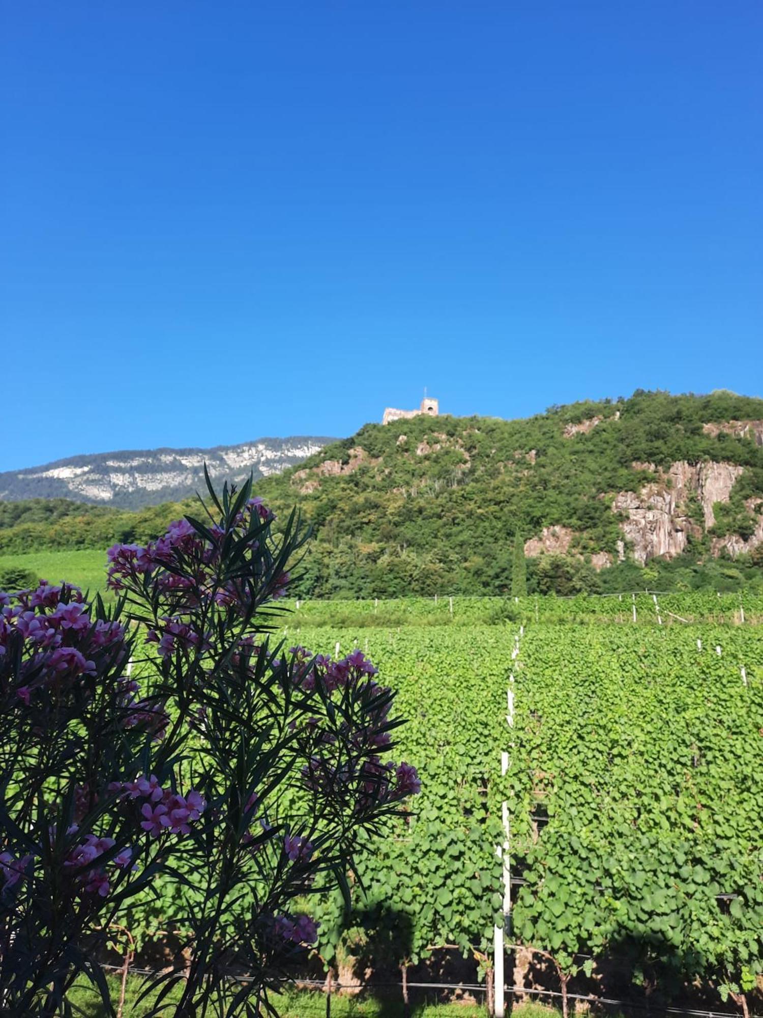 Appartamento Weinhof Kager Missiano Esterno foto