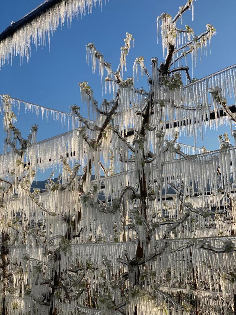 Appartamento Weinhof Kager Missiano Esterno foto